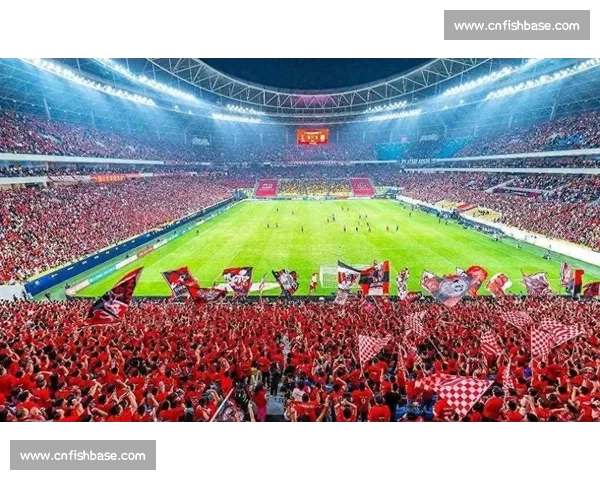 激情四射足球盛宴全程直播带你体验绿茵场精彩瞬间